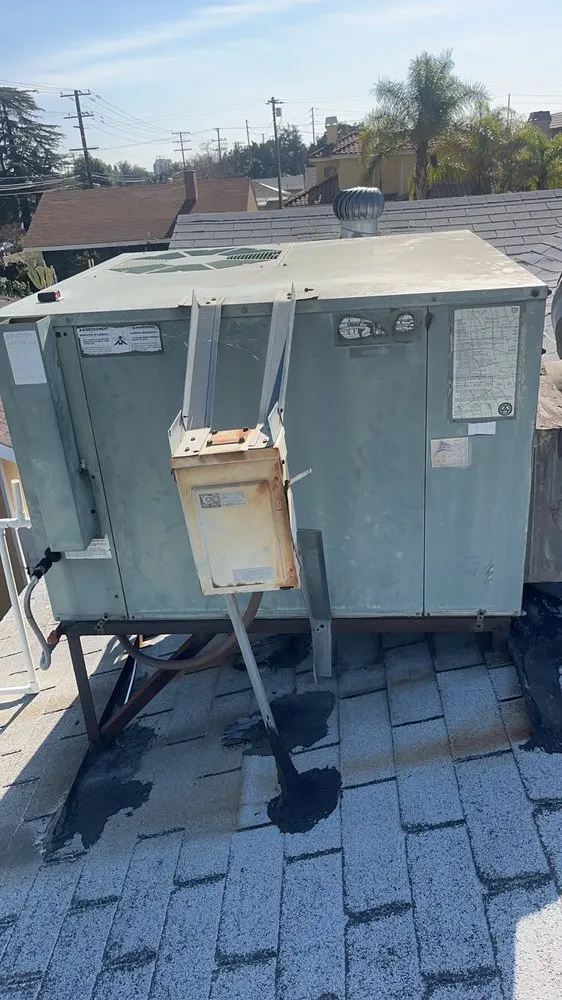 Slide of Cooling Bee