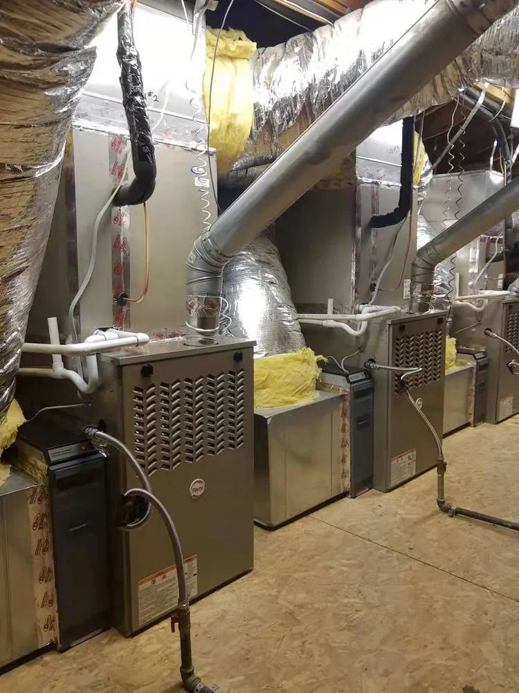 Slide of Cooling Bee