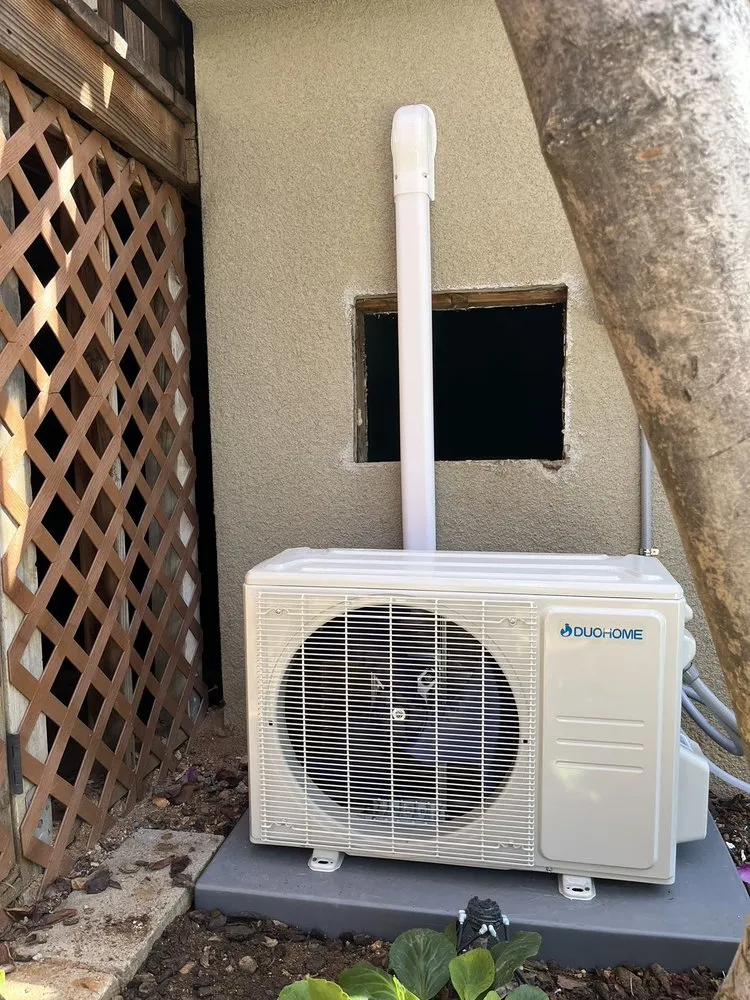 Slide of Cooling Bee