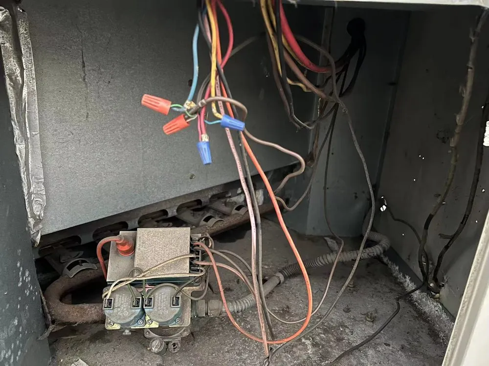 Slide of Cooling Bee