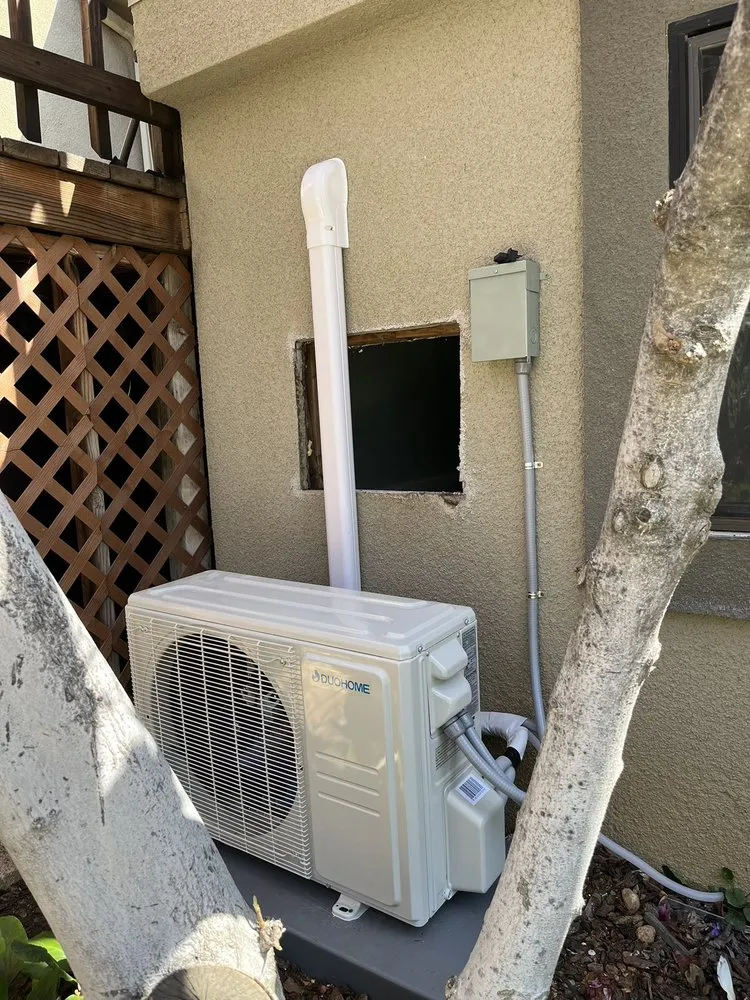 Slide of Cooling Bee