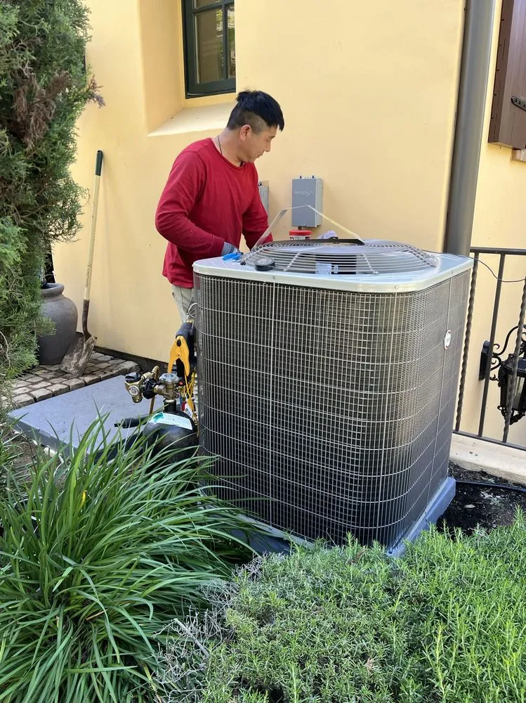 Slide of Cooling Bee