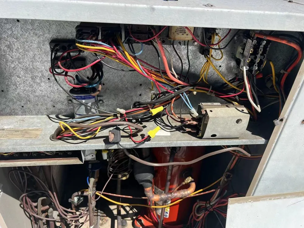 Slide of Cooling Bee