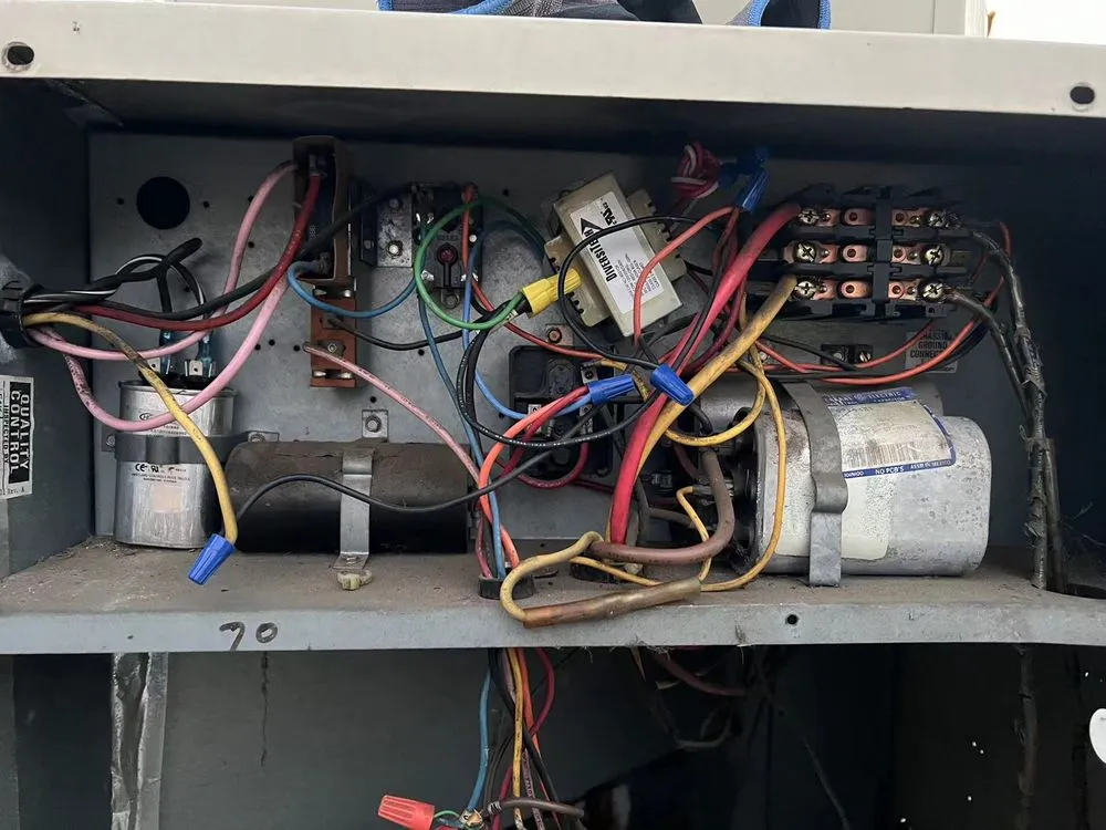 Slide of Cooling Bee