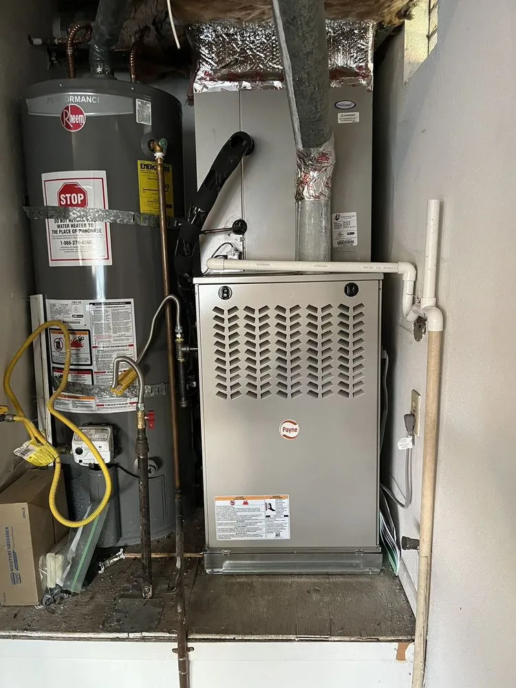 Slide of Cooling Bee