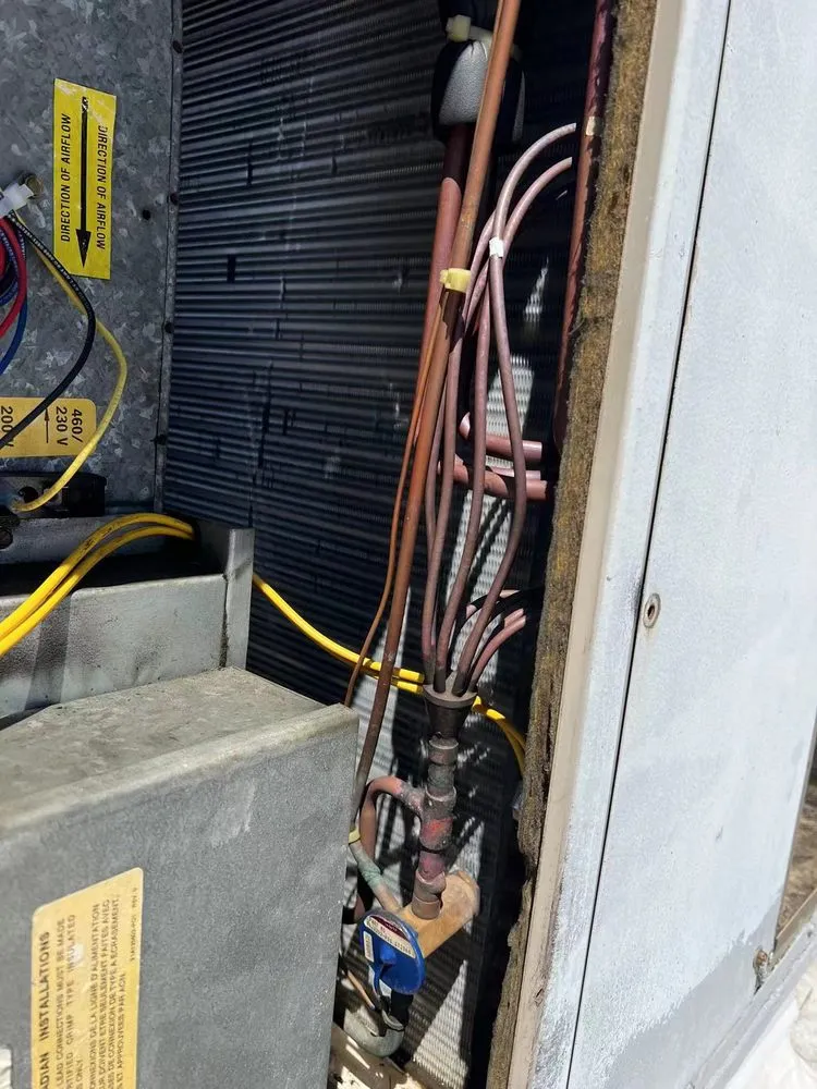 Slide of Cooling Bee