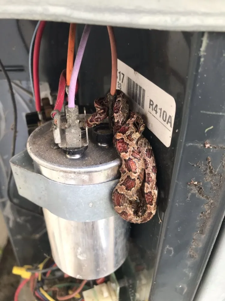 Slide of Cooling Dynamics Refrigeration & Air