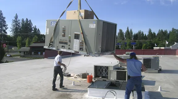 Slide of Cooper & Hawkins