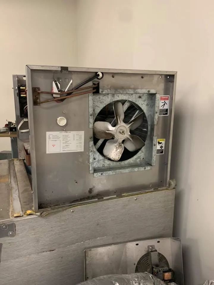 Slide of Copeland LP