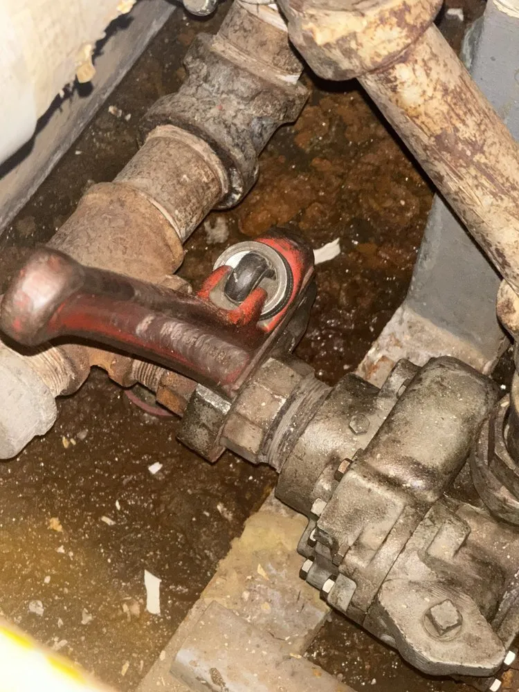 Slide of Copper Deer Mechanical