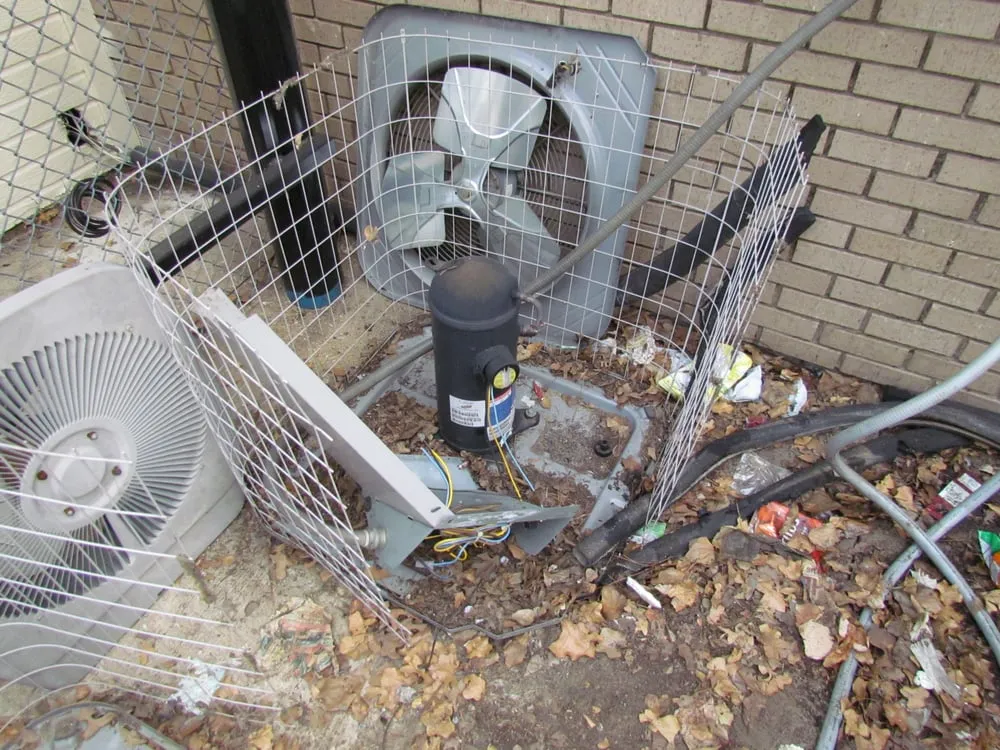 Slide of copperwatcher