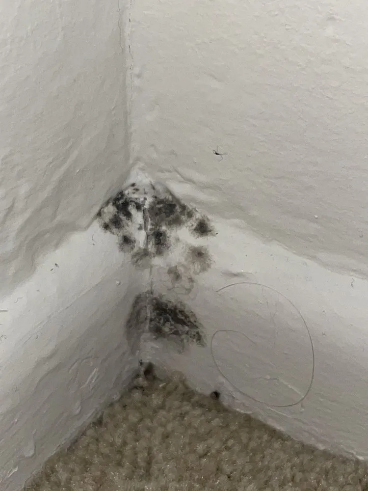 Slide of Core 3 Landscaping, Maintenance & Construction Services