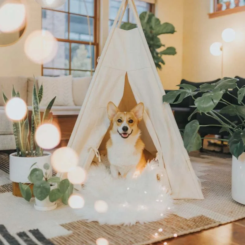 Slide of Cornerstone Service Contractors