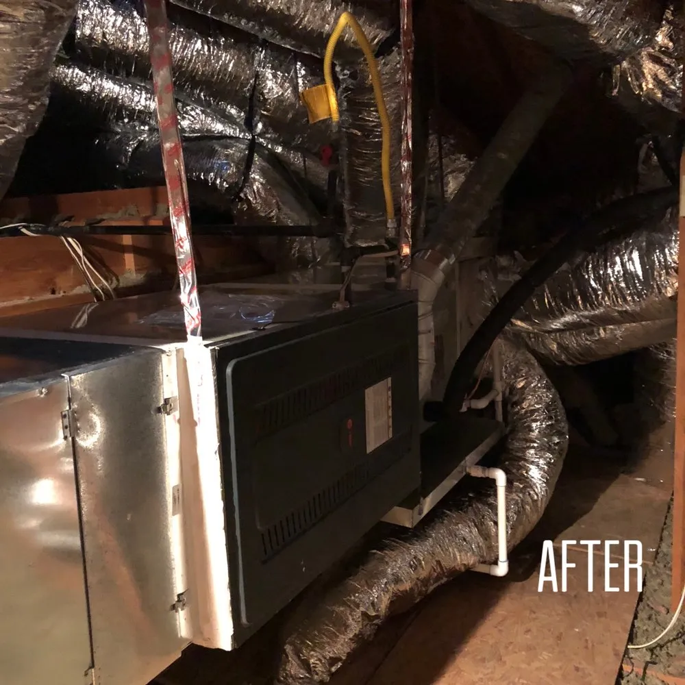 Slide of Cortinas and Sons