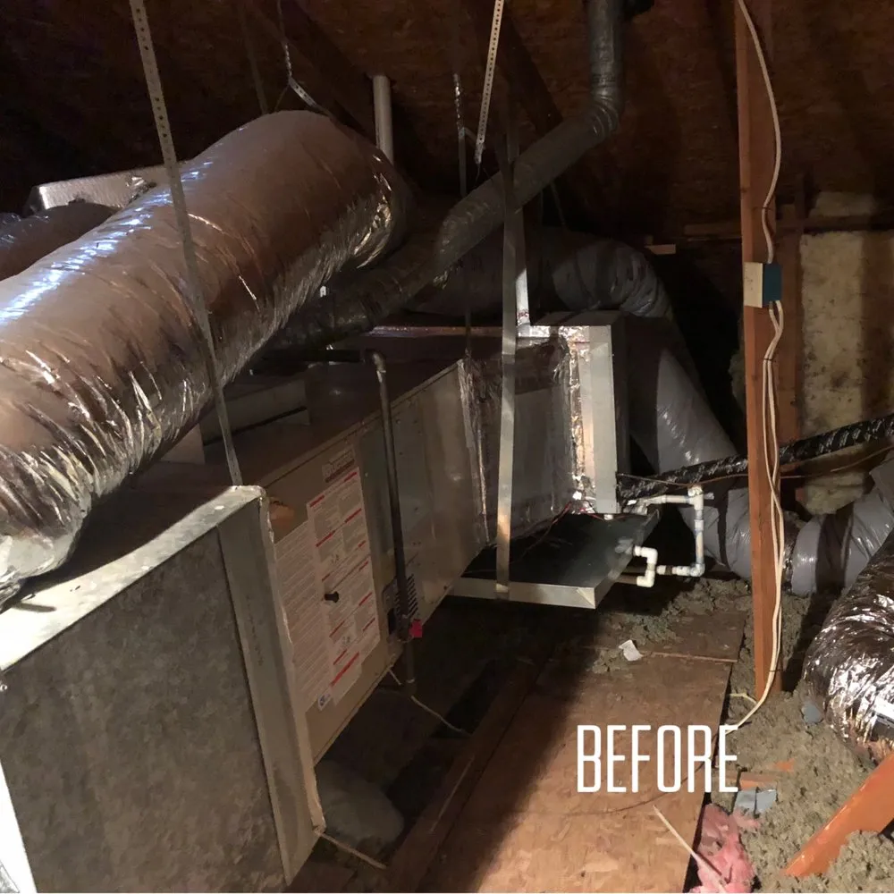 Slide of Cortinas and Sons