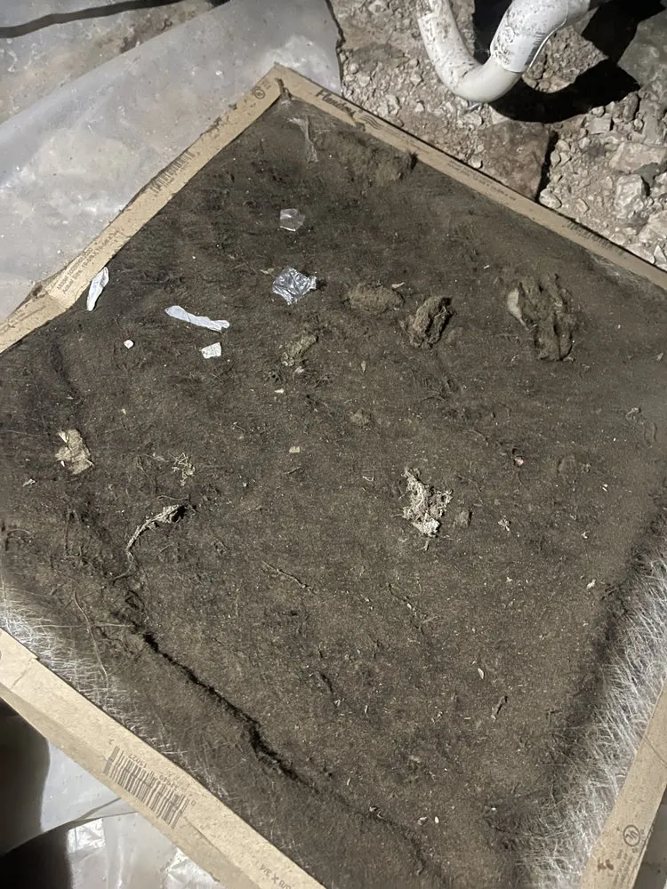 Slide of Cory's Komplete