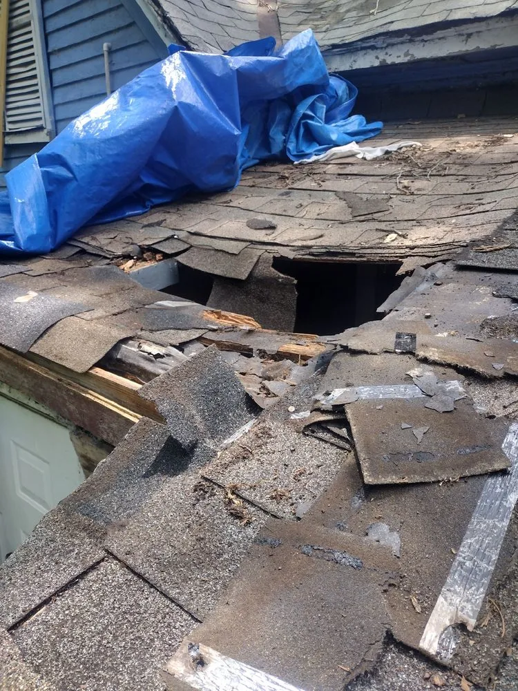 Slide of Cory's Komplete