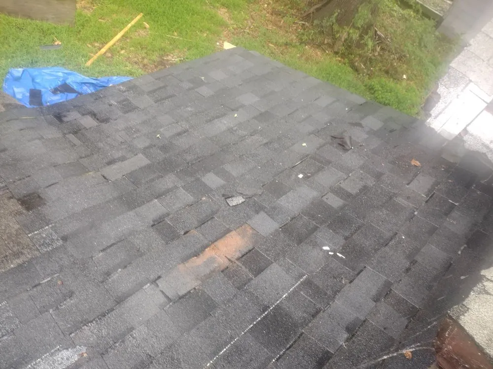 Slide of Cory's Komplete