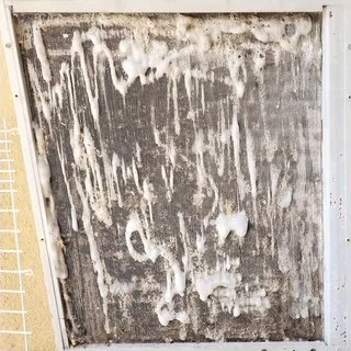 Slide of Cosmo's Air