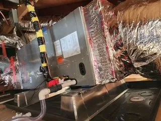 Slide of Cosmo's Air