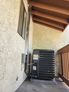 Slide of Cosmo's Air