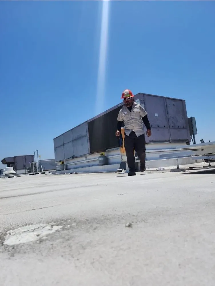 Slide of Cosmo's Air