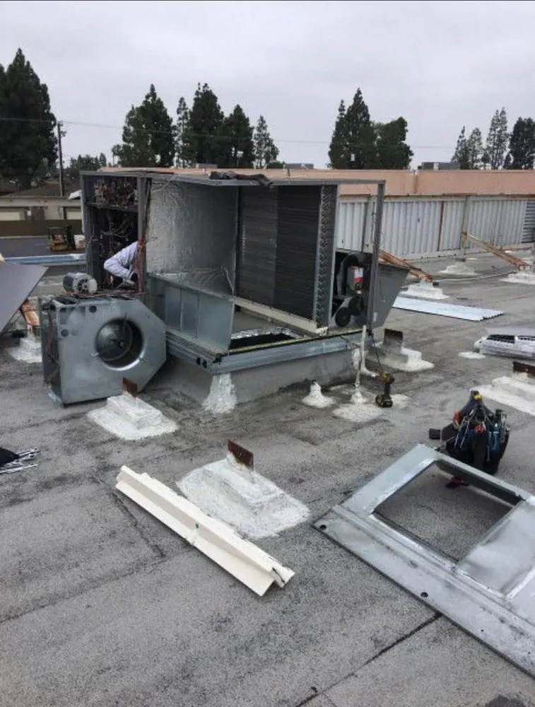 Slide of Cosmo's Air