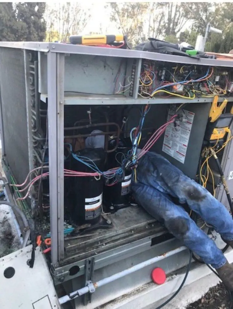 Slide of Cosmo's Air