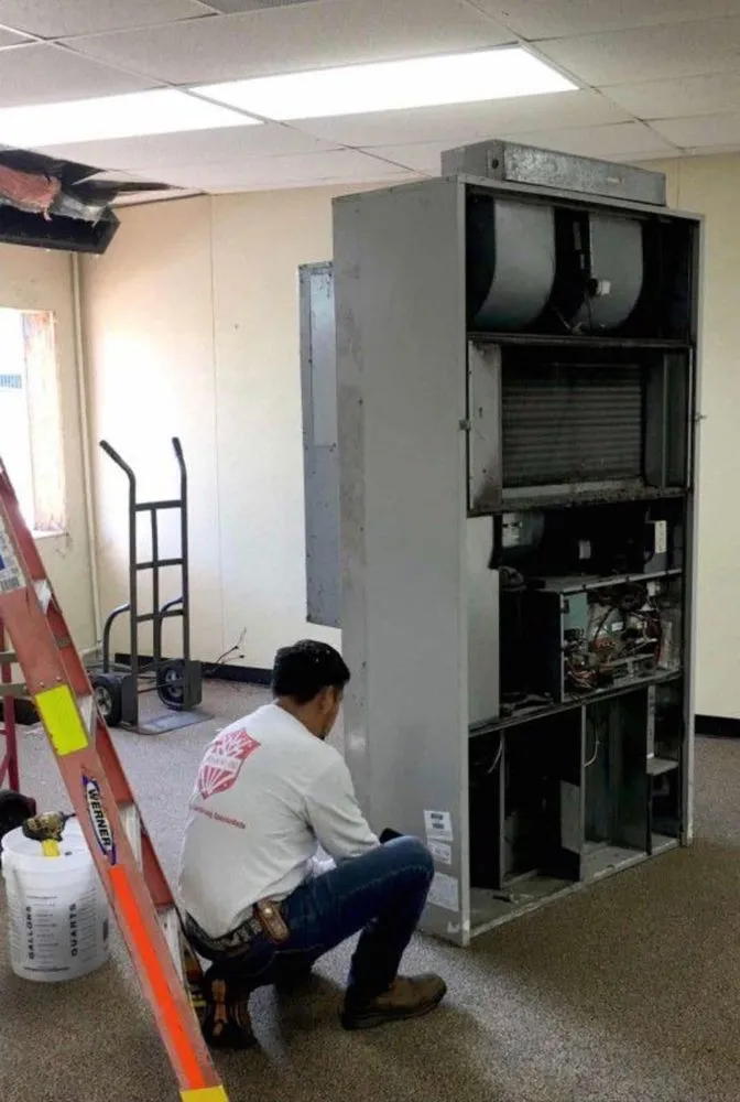 Slide of Cosmo's Air