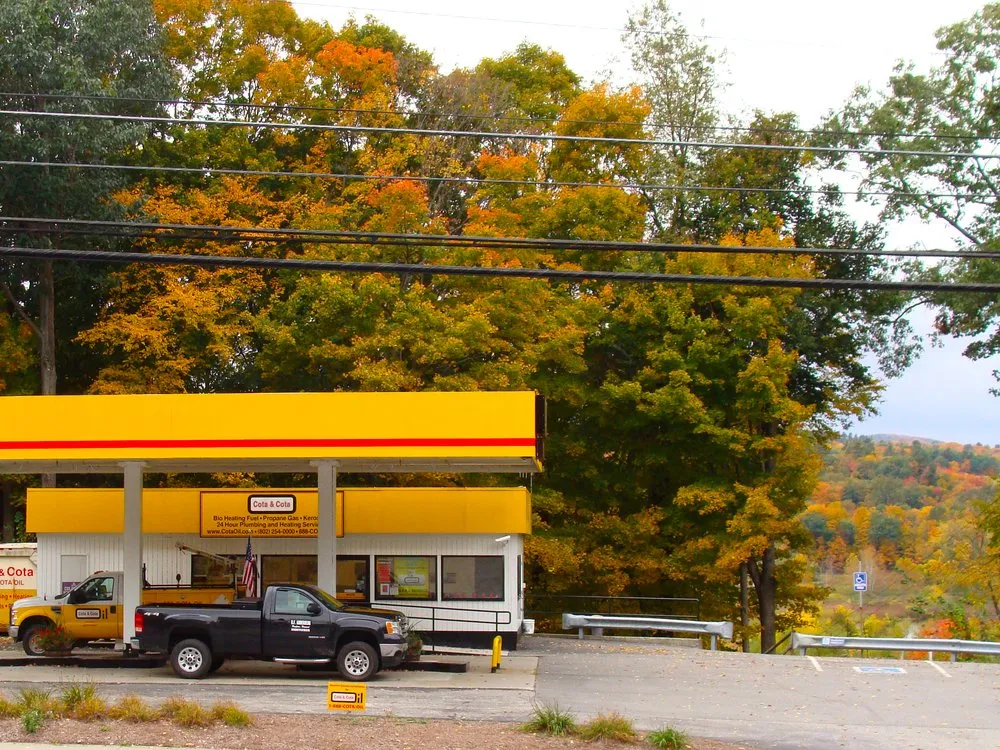 Slide of Cota & Cota