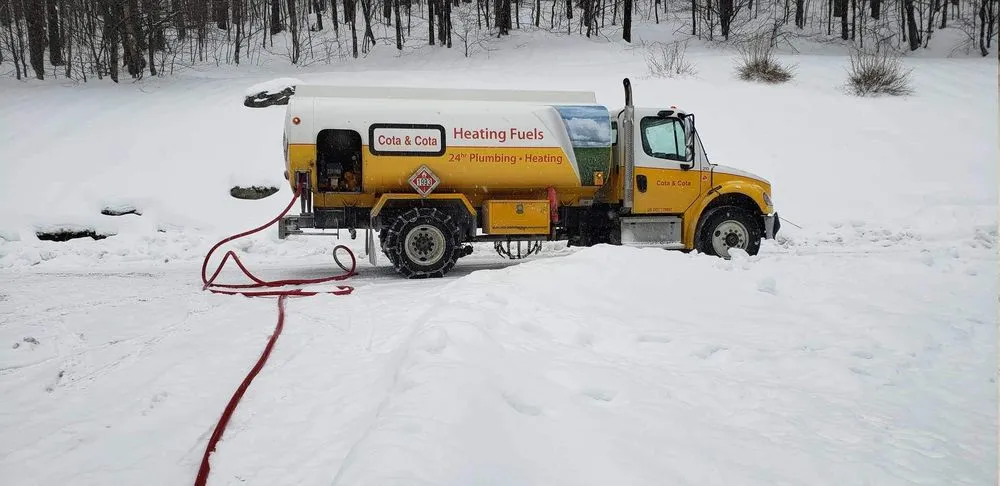 Slide of Cota & Cota