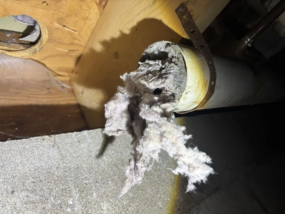 Slide of Couch & Sons