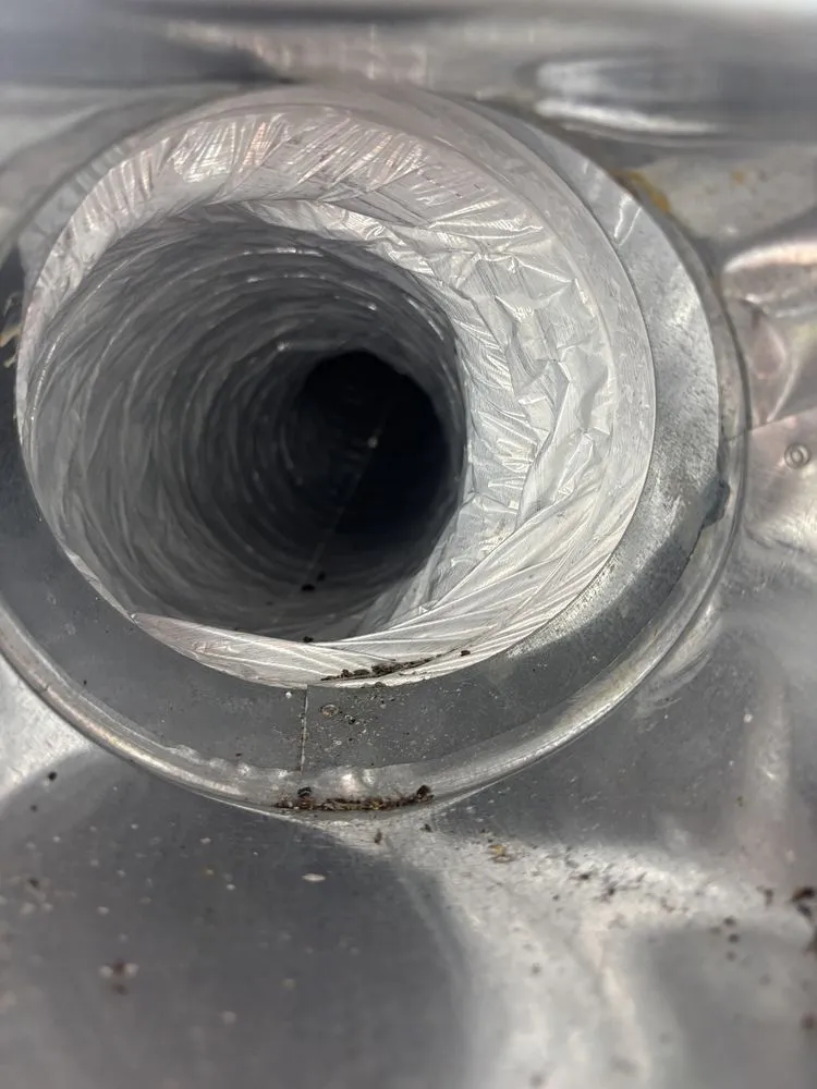 Slide of Couch & Sons