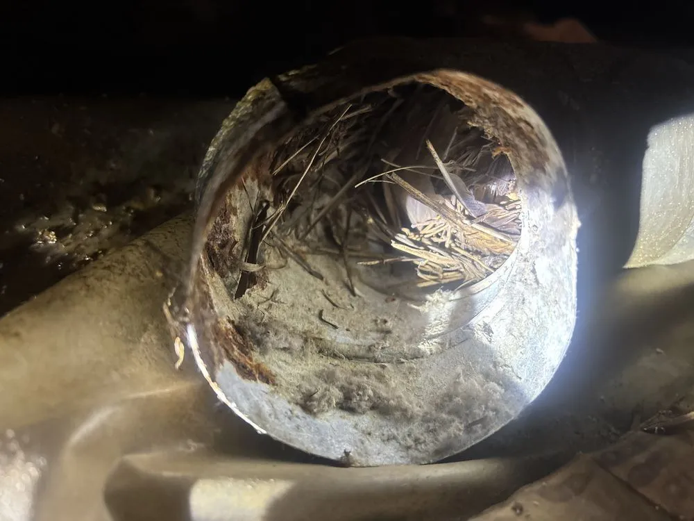 Slide of Couch & Sons