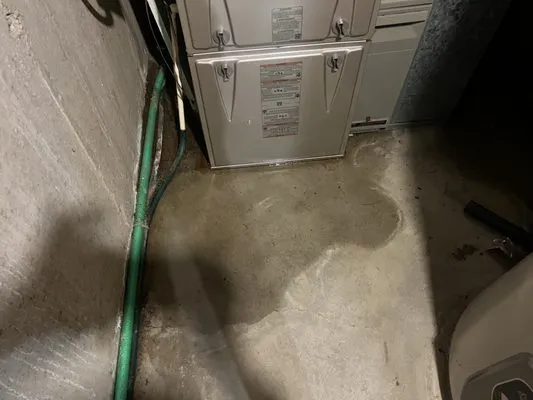 Cougar Heating and Air Conditioning Logo