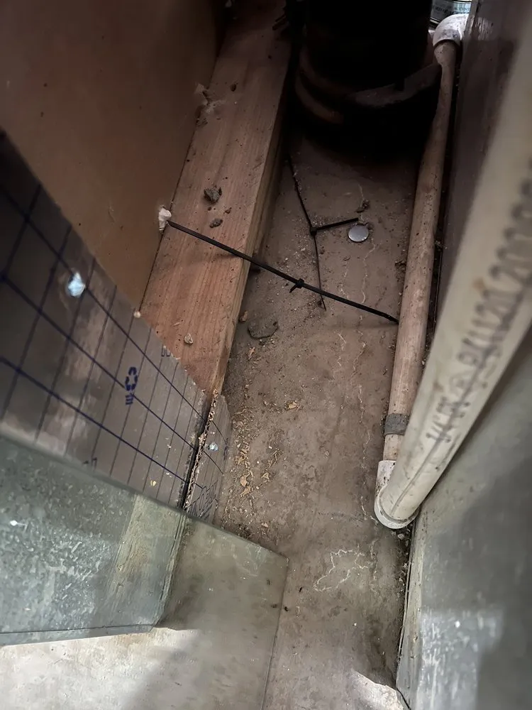 Slide of Cougar Mechanical