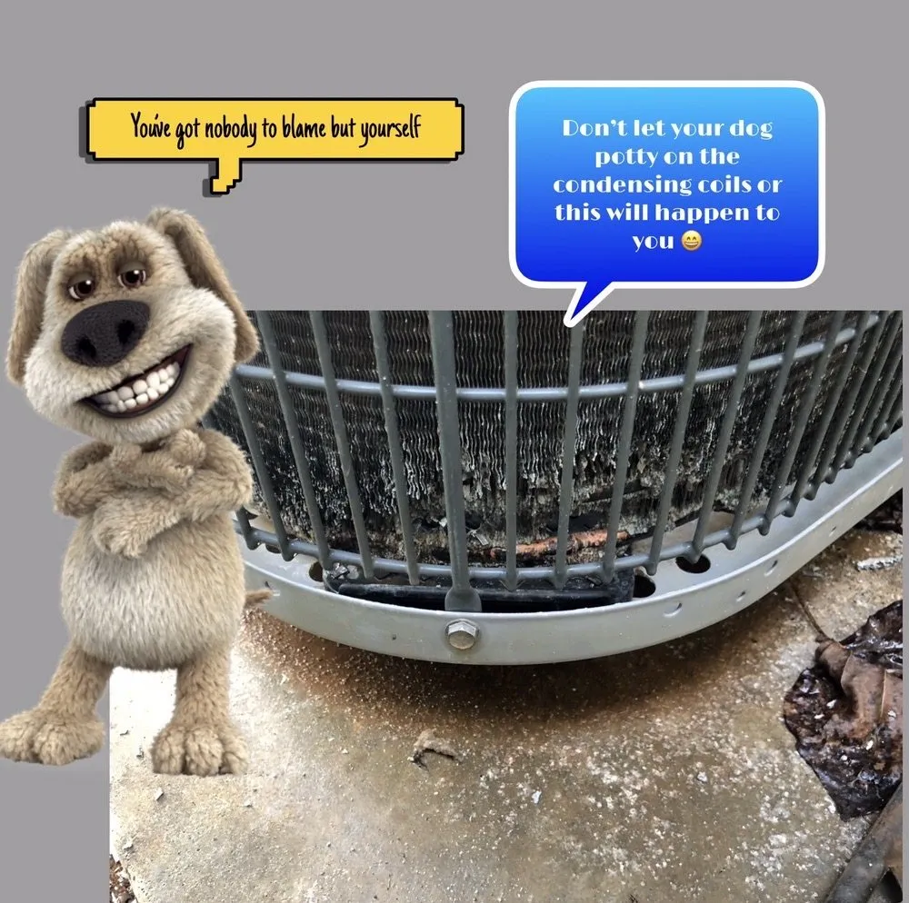 Certified heating repair same-day service in Lascassas, TN by Country Comfort Heating, Cooling and Electric