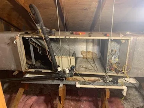 Slide of County Energy & Environmental Services