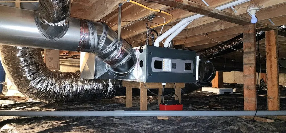 Slide of Cowdog Mechanical