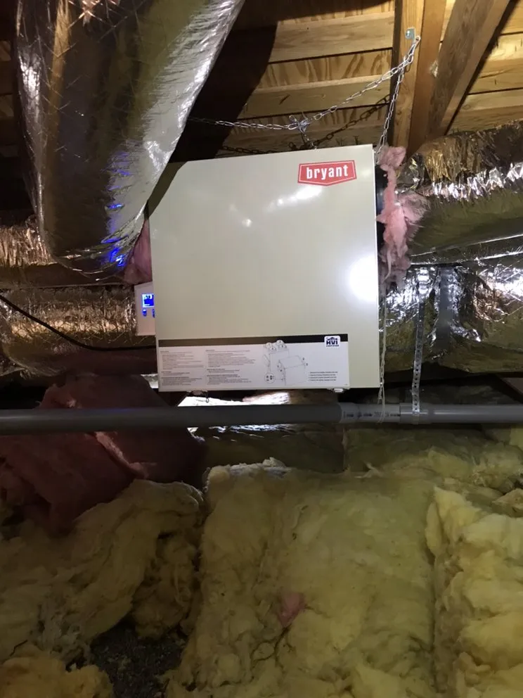 Slide of Cozy House Forever