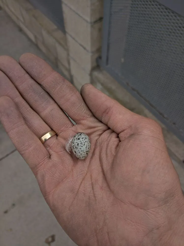 Slide of CR Appliance Repair