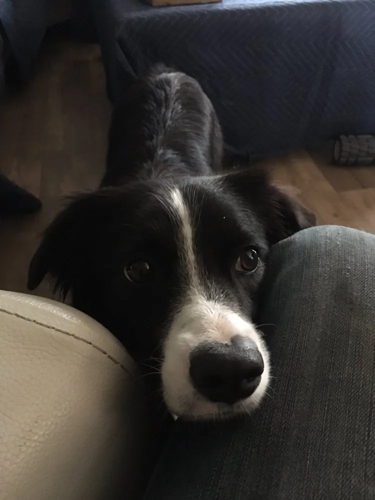 Slide of Craig Air Conditioning