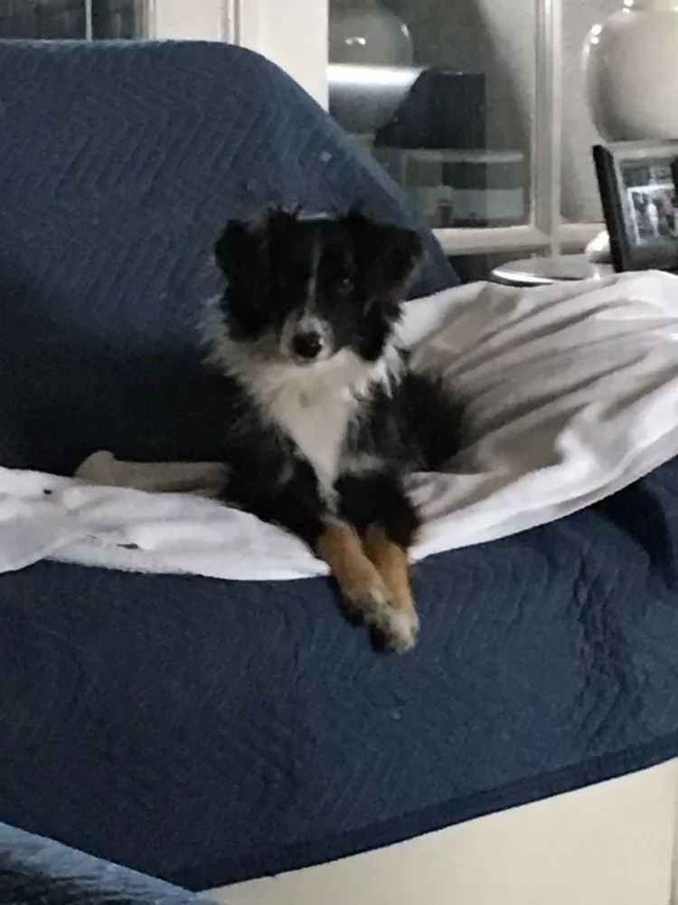 Slide of Craig Air Conditioning