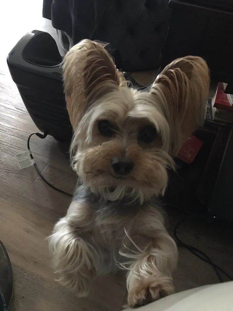 Slide of Craig Air Conditioning