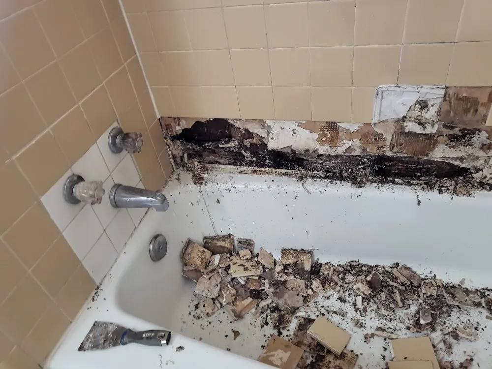 Slide of Craig Repairs