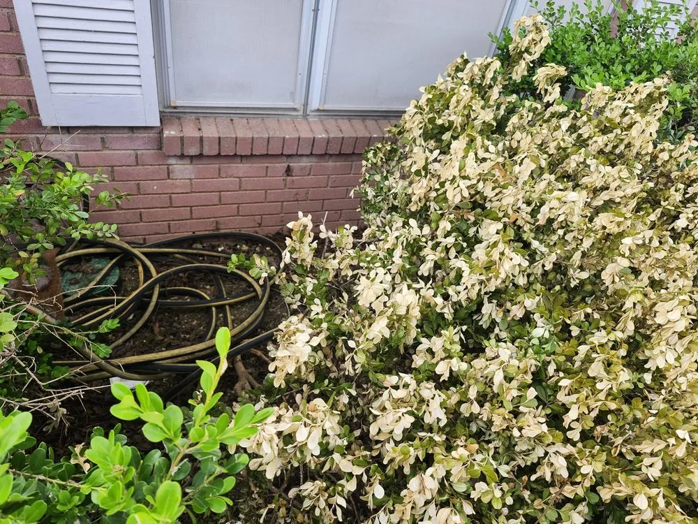 Slide of Crawford Service