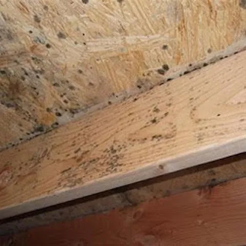 Trusted furnace service near you in Waterford, MI by Crawlspace Remediation