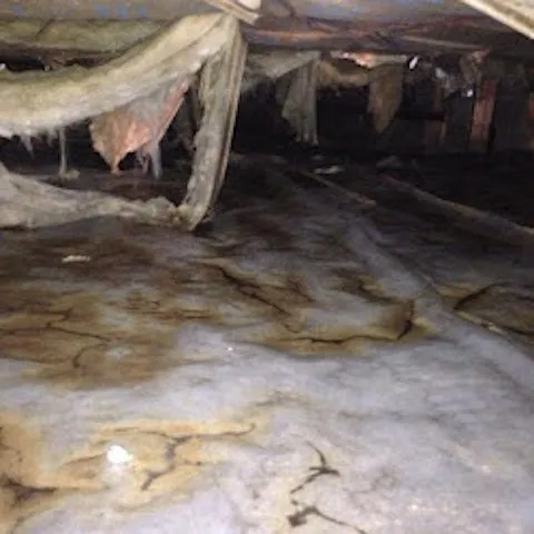 Trusted air conditioning service for local homeowners in Waterford, MI by Crawlspace Remediation