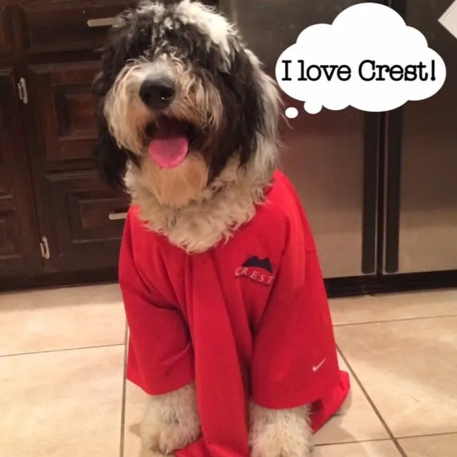 Slide of Crest Air & Heat