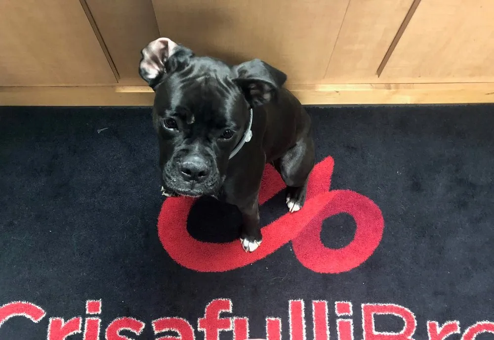 Slide of Crisafulli Bros. Plumbing & Heating Contractors